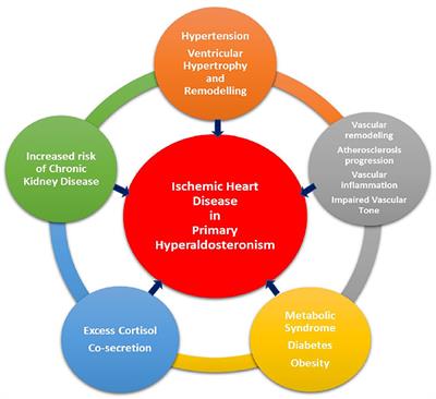 Primary Aldosteronism and Ischemic Heart Disease